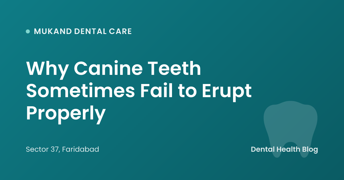 Why Canine Teeth Sometimes Fail to Erupt Properly